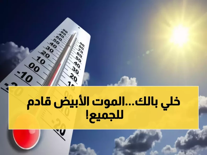 عاجل: موجة برد قطبية تجتاح اليمن وتحذيرات رسمية من "صقيع قاتل" - كبار السن والأطفال في خطر!