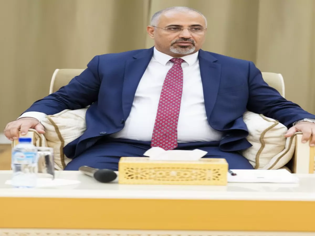 عاجل: العليمي يحذر مستشار ترمب من "تهديد جديد" يستهدف إمدادات الطاقة العالمية... السعودية تتدخل!