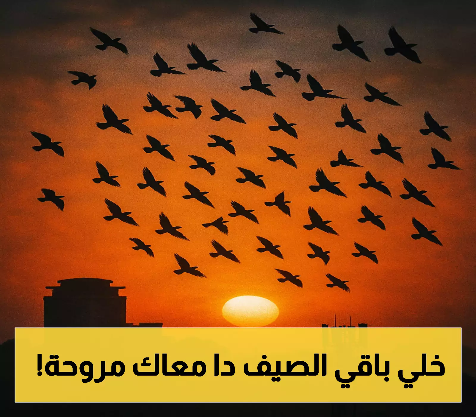 تحذير: موجة حر شديدة تزعزع راحة المصريين في الصيف الحالي