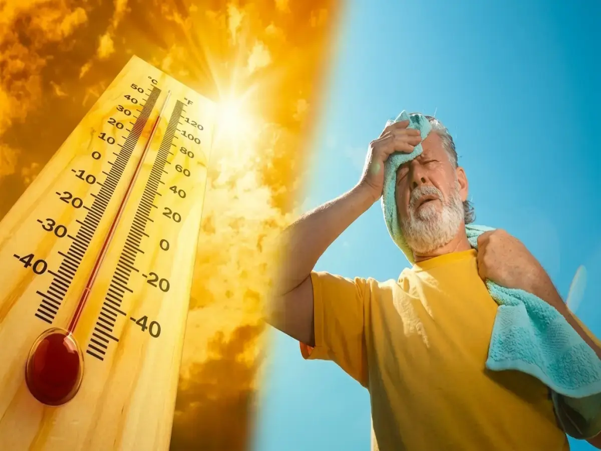 عاجل: الأرصاد تحذر من شبورة مائية كثيفة على الطرقات السريعة - درجة الحرارة تصل لـ34° وأهم توصيات السلامة