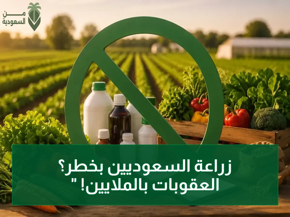 عاجل: عقوبات مليونية تنتظر مخالفين الزراعة العضوية في السعودية... 6 جرائم تكلفك السجن وغرامة!