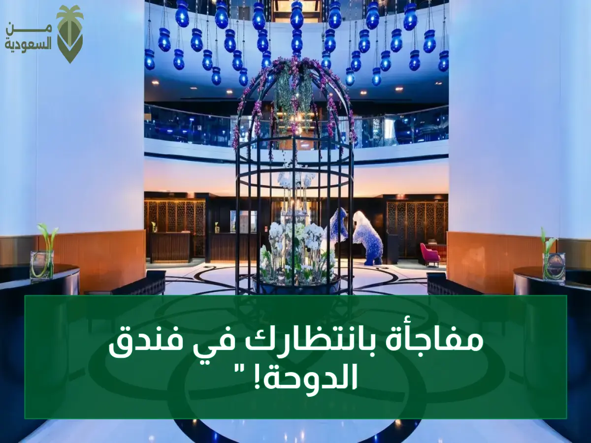 عاجل: وظائف أسطورية! فندق "W" الدوحة يطلق شواغر بـ امتيازات خيالية تكفل مستقبلاً مذهلاً لـجميع الجنسيات.. رابط التقديم الآن!
