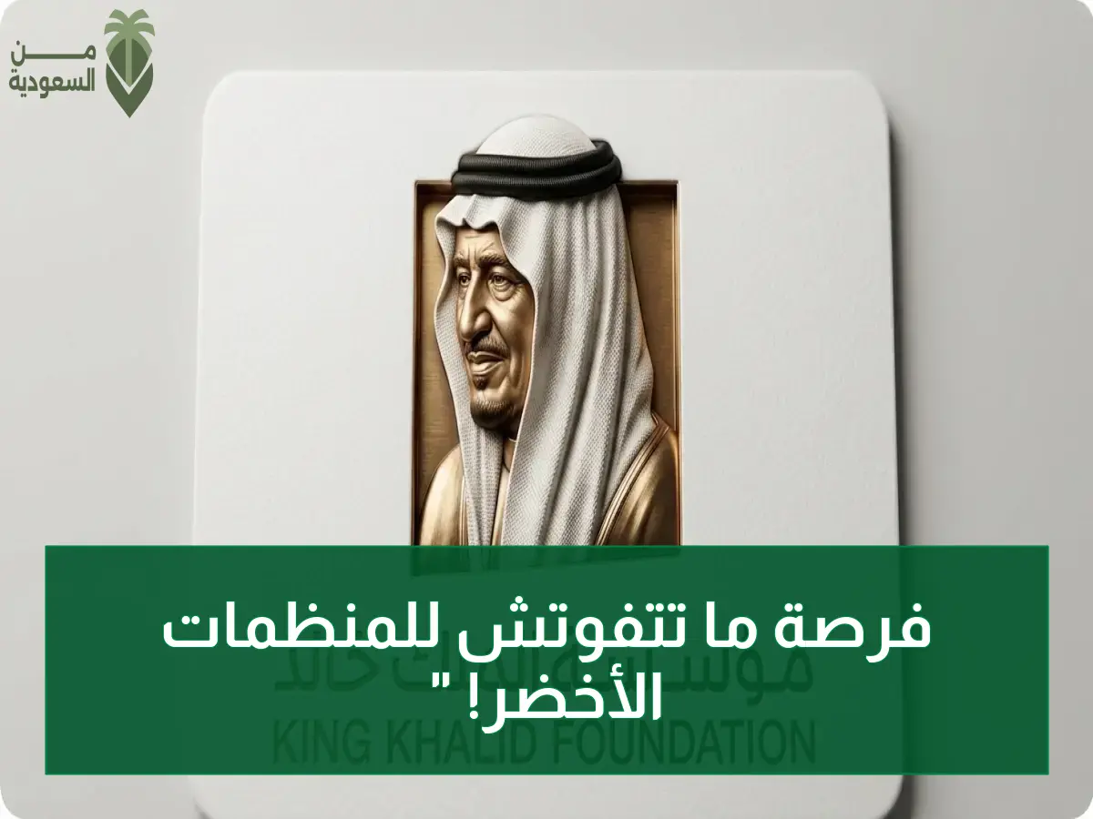 حصري لأول مرة: منحة الفرص الخضراء تُطلق نسختها الخامسة… آخر فرصة للمنظمات غير الربحية قبل إغلاق التسجيل في 9 يوليو!
