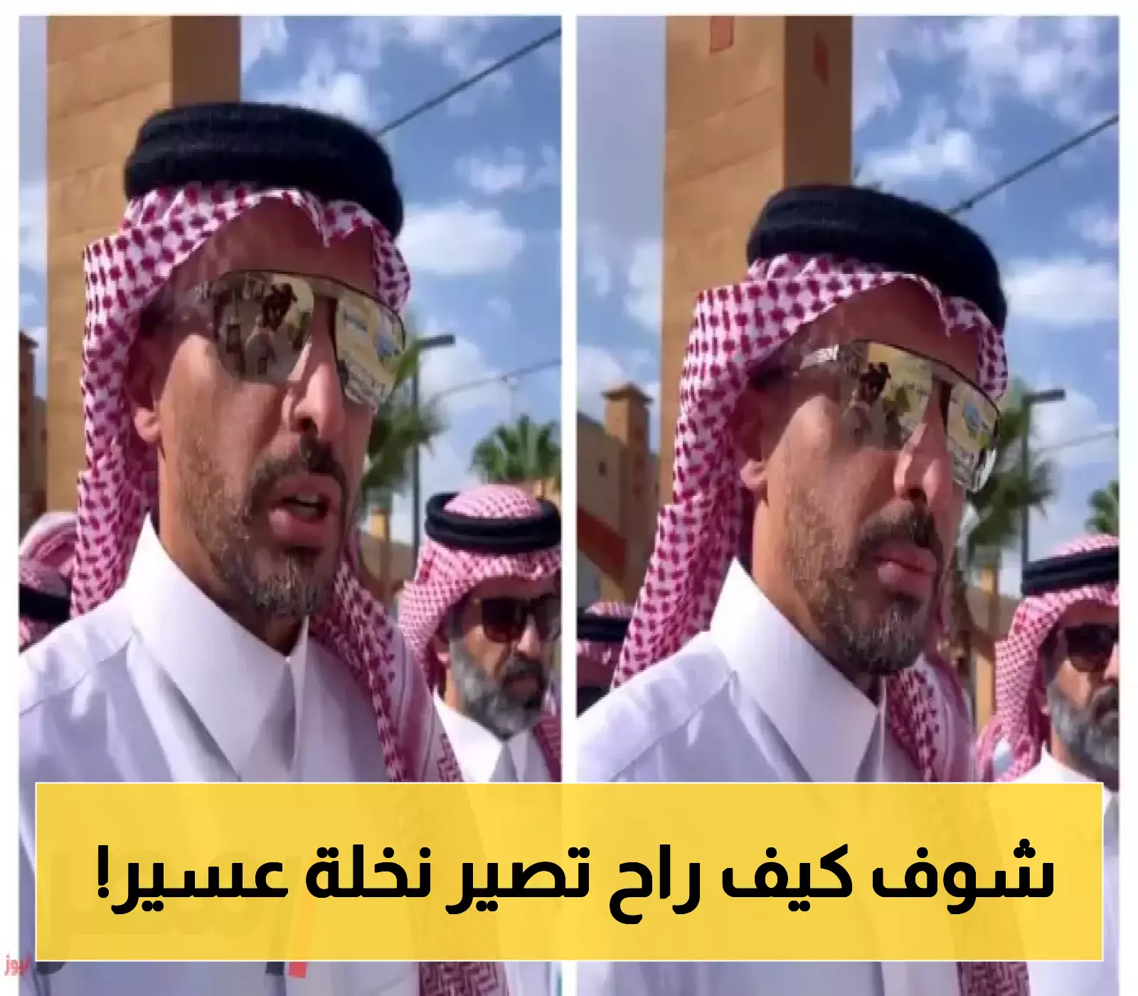 قرار جديد: تحويل أولوية زراعة النخل إلى المزارع بدلاً من المرافق العامة في عسير