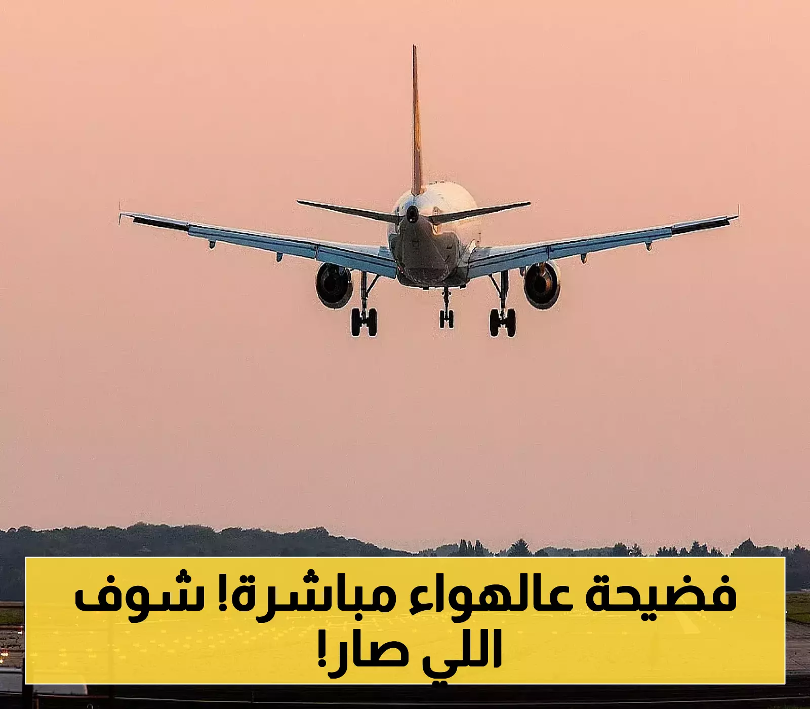 فوضى في الخطوط الجوية الباكستانية: كيف نقل مسافر بلا جواز إلى السعودية؟