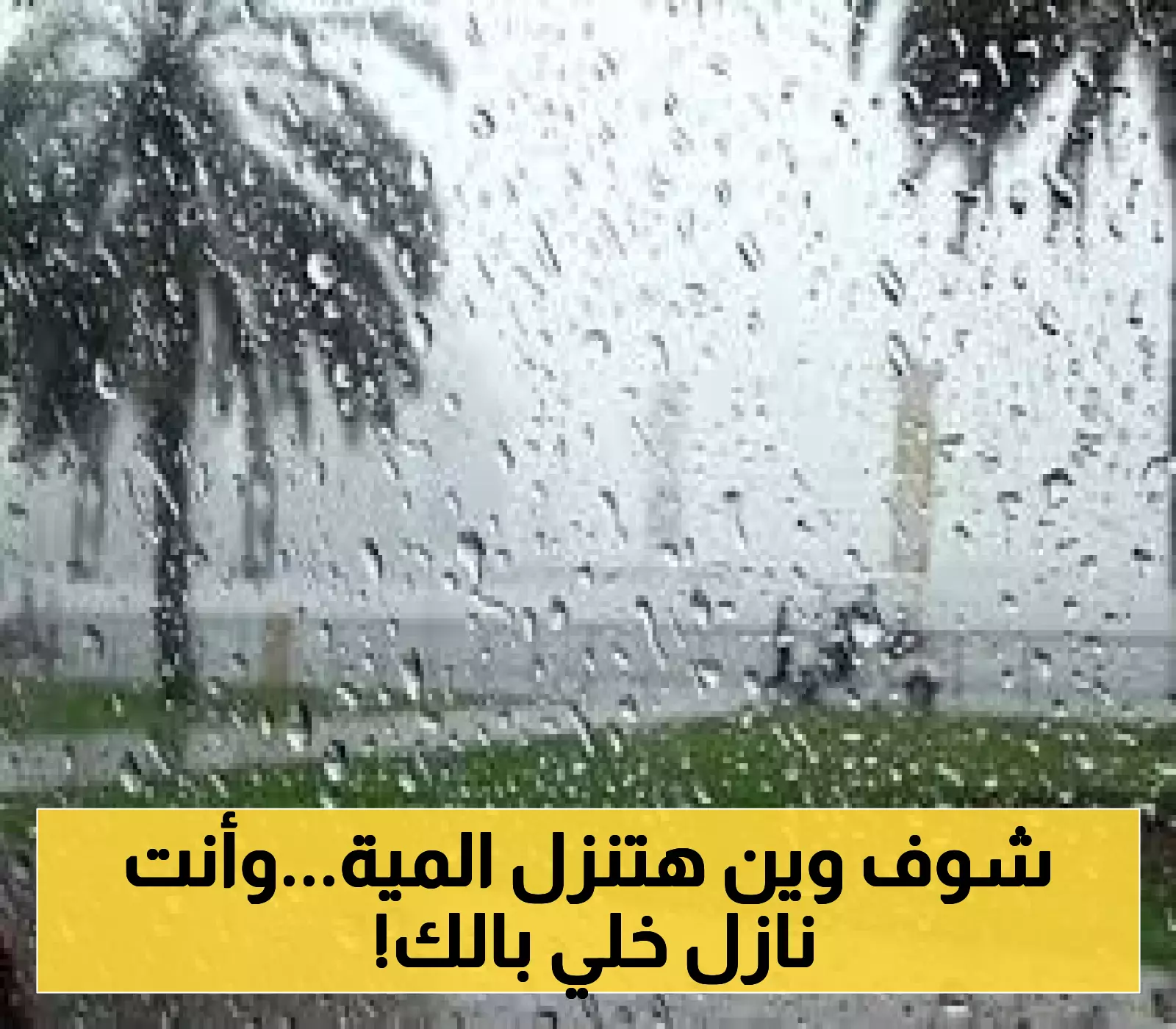 إعلان: أمطار غزيرة متوقعة في بعض مناطق السعودية بدءًا من الأحد