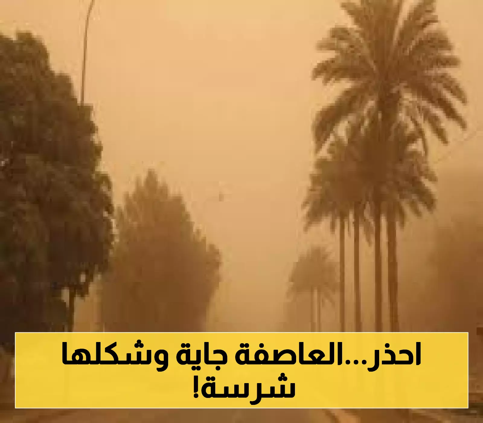 إعلان هام: توقعات برياح قوية تحمل الأتربة في أنحاء المملكة