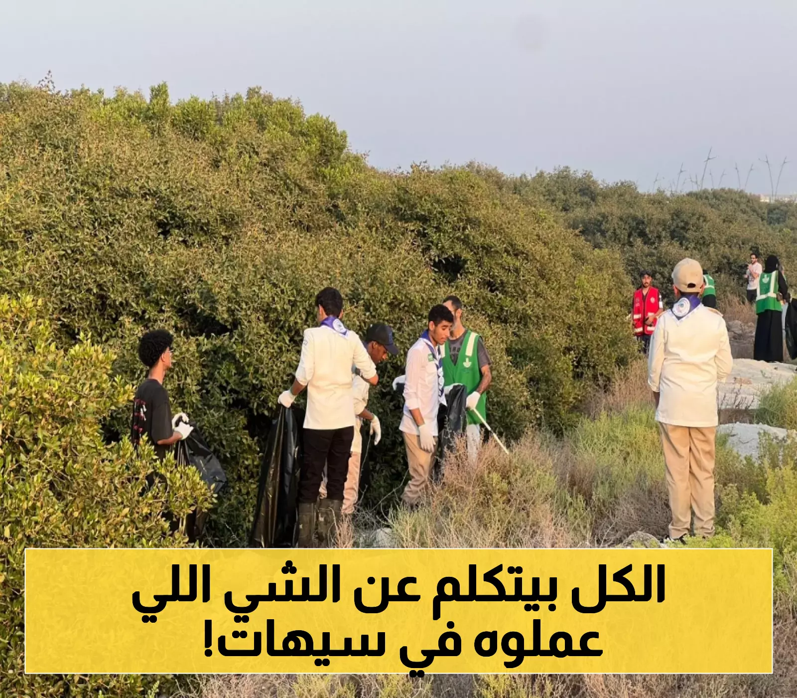 إعلان مبادرة لدعم حماية غابات المانجروف في سيهات بمشاركة 100 متطوع
