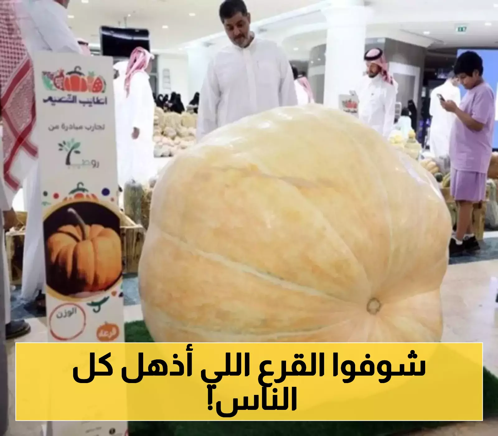 500 كيلوغرام لثمرة واحدة... مسابقة القرع العملاق بالقصيم تدهش 150 ألف زائر في حدث هو الأول من نوعه بالشرق الأوسط