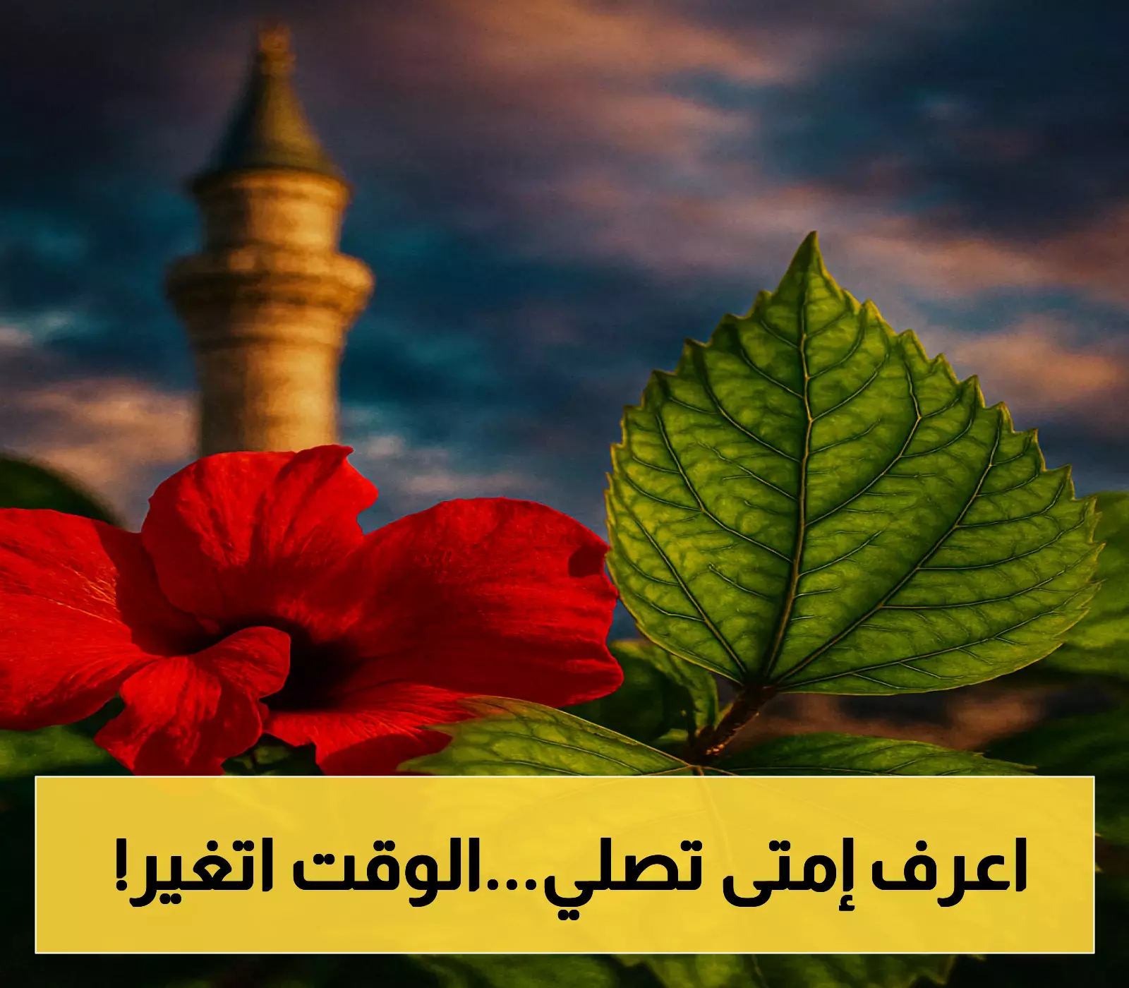 لسكان القاهرة والإسكندرية.. فارق 27 دقيقة في صلاة العشاء اليوم وهذه مواقيت الصلوات الخمس