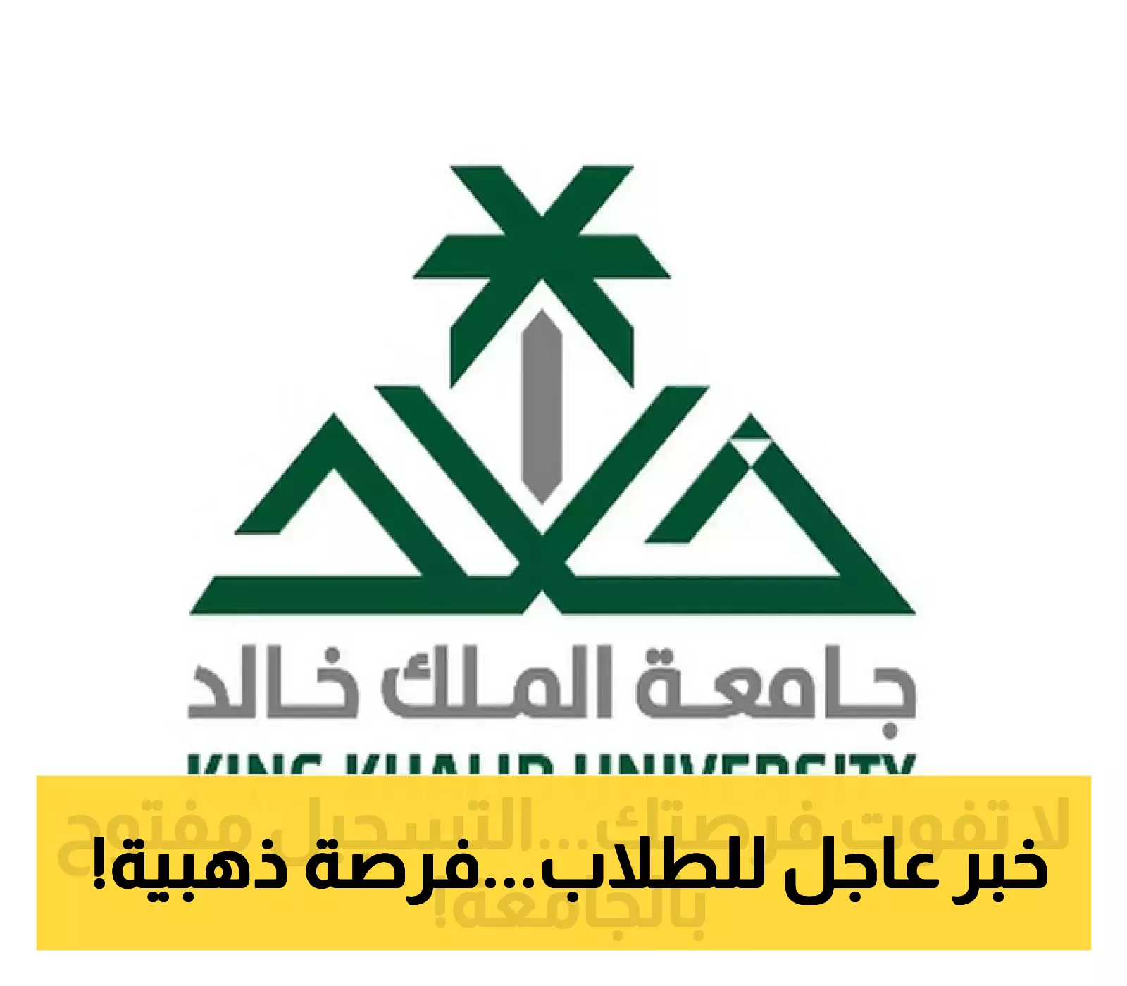 بدء التسجيل في 3 برامج جديدة بجامعة الملك خالد للعام 1447هـ