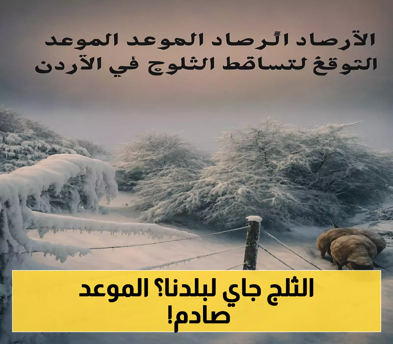 إعلان مفاجئ: موعد تساقط الثلوج في الأردن كشفته الأرصاد الجوية!