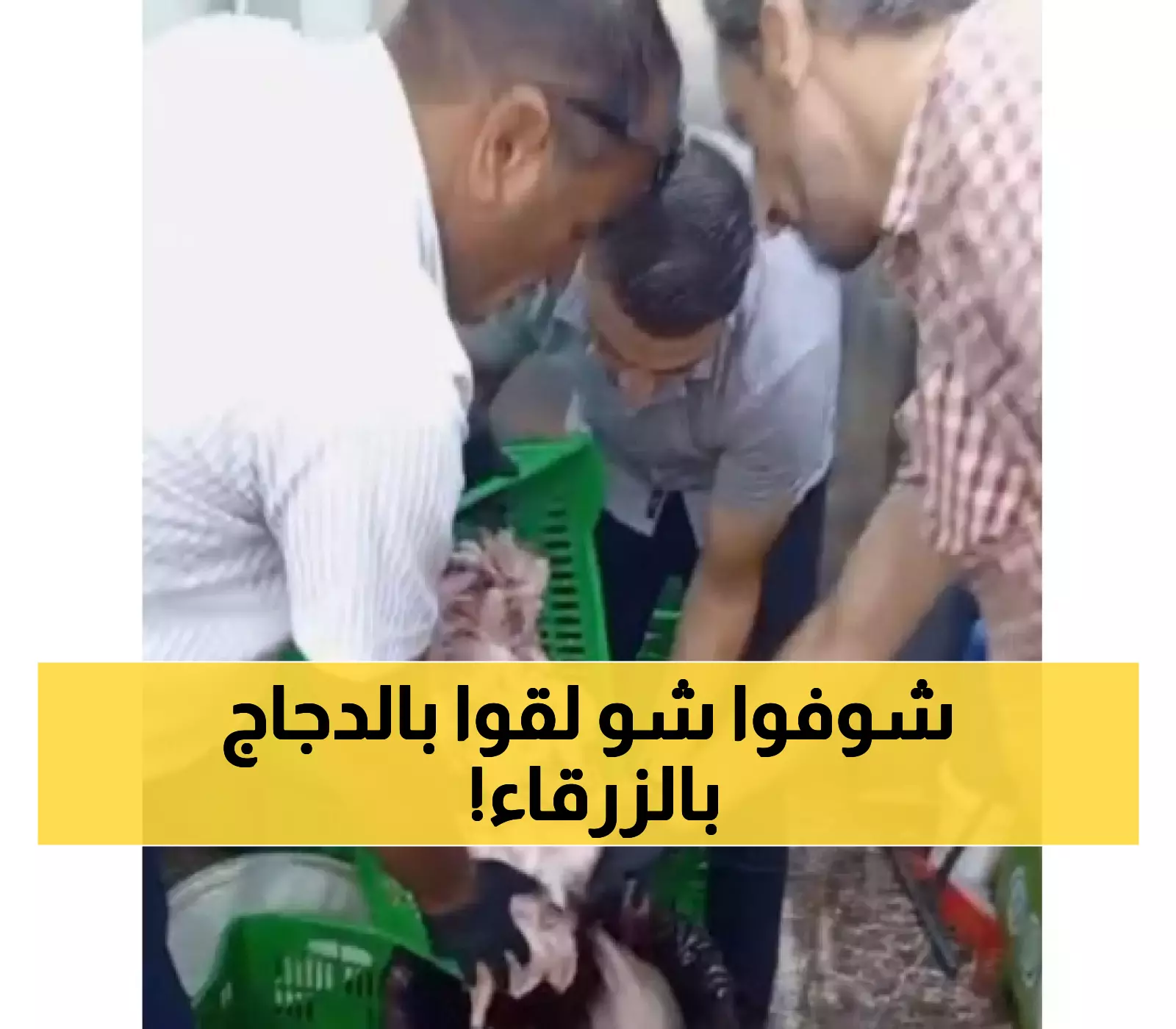 تنبيه: اكتشاف دجاج غير صالح للاستهلاك بالزرقاء