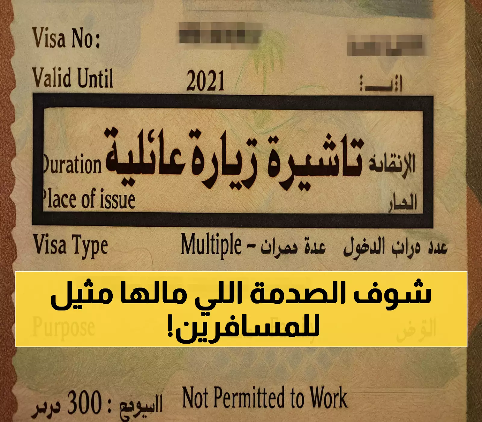 وقف مفاجئ لإصدار التأشيرات العائلية والسياحية: تعرف على التفاصيل