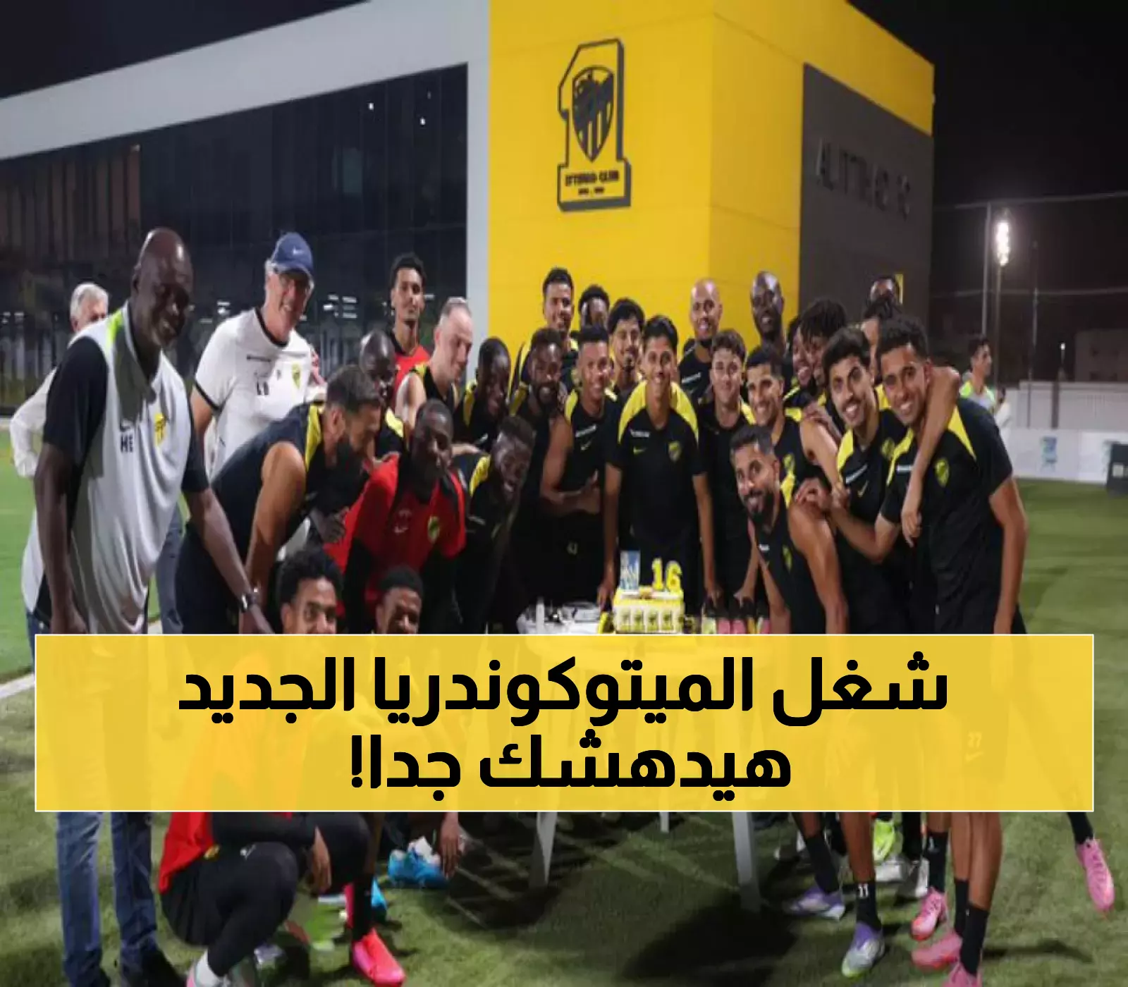 اكتشاف ثوري: الميتوكوندريا تتحول إلى 'أبراج مراقبة' مناعية تراقب البكتيريا عبر الجدران الخلوية