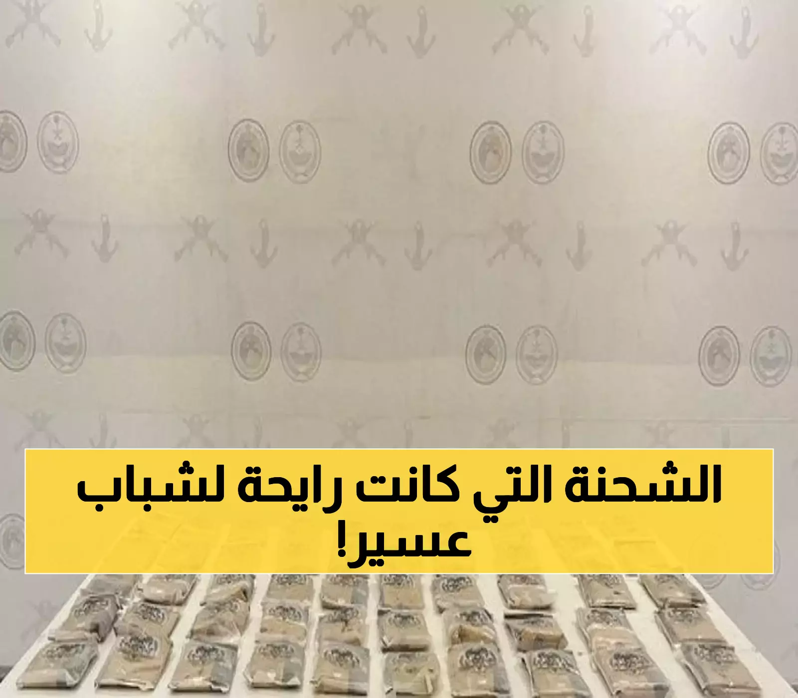 حرس الحدود يحبط تهريب 50 كيلو حشيش في عسير.. والكشف عن أرقام الإبلاغ الجديدة