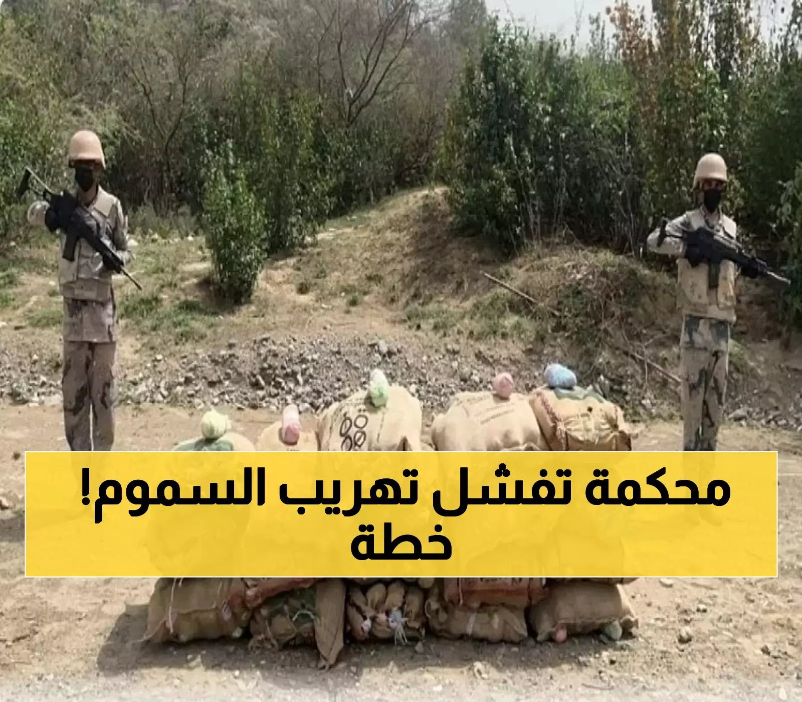 حرس الحدود يضبط 474 كيلو مخدرات و59 ألف قرص طبي في عمليات أمنية منسقة
