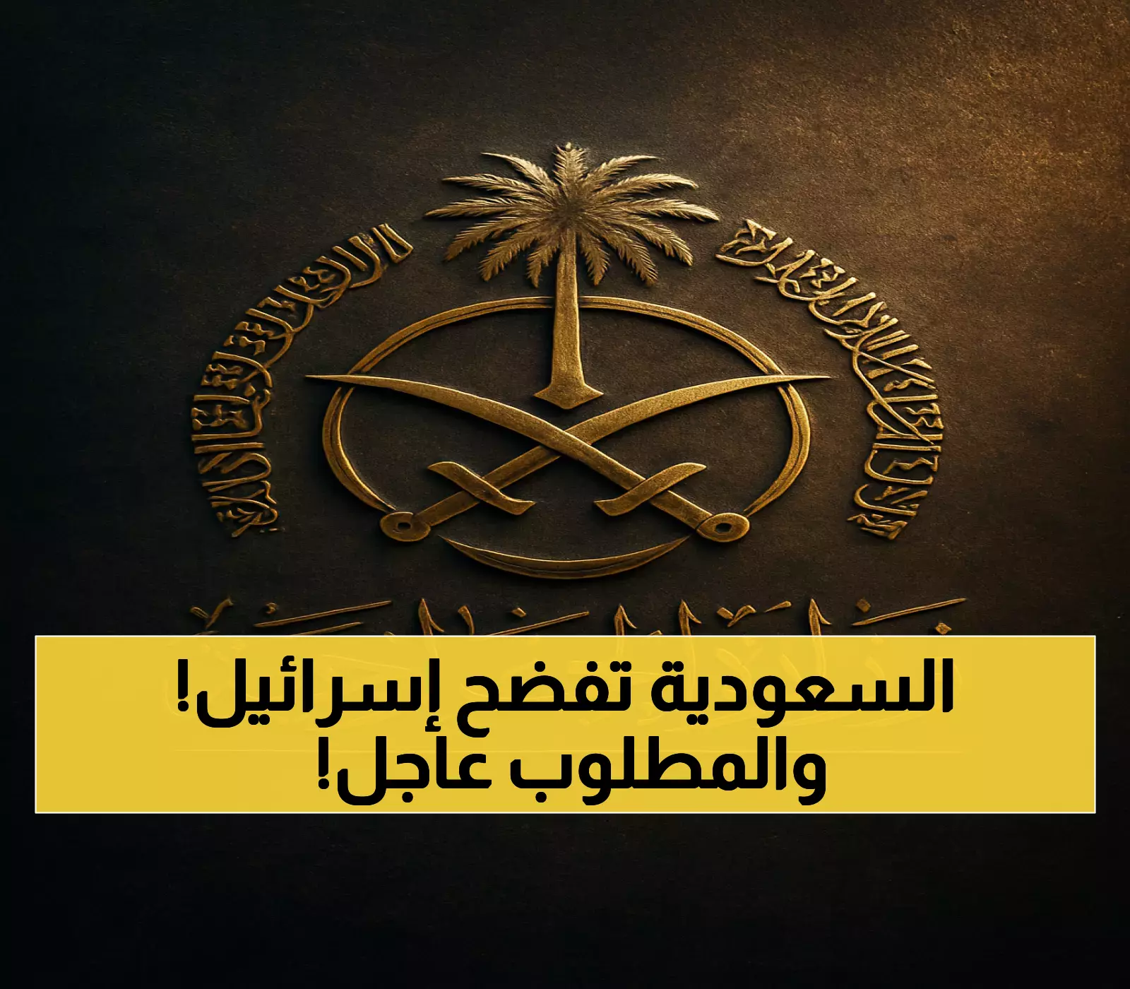 السعودية تتهم إسرائيل بـ'جرائم الإبادة' وتطالب المجتمع الدولي بإجراءات فورية