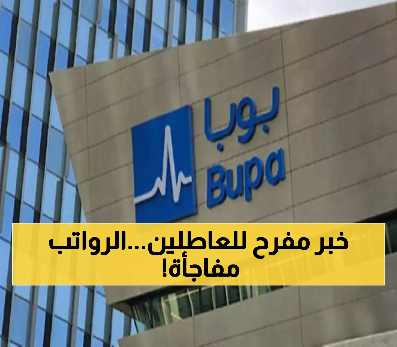 بوبا العربية تطرح 34 وظيفة في 5 مدن سعودية.. هل تعرف راتب شركة برأسمال 400 مليون ريال؟