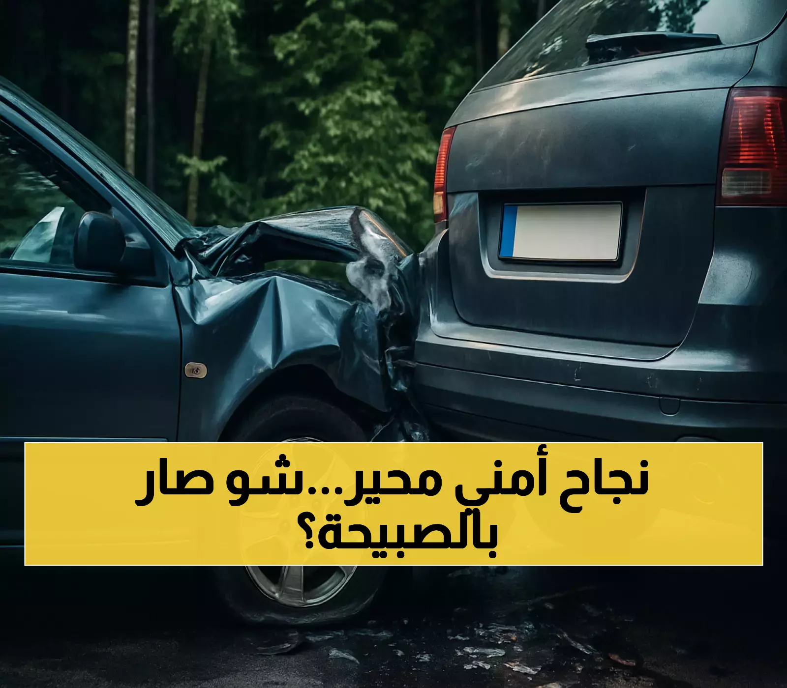 كيف حققت منطقة الصبيحة معادلة مستحيلة: من 15 ألف مهاجر غير شرعي إلى استقرار أمني كامل؟