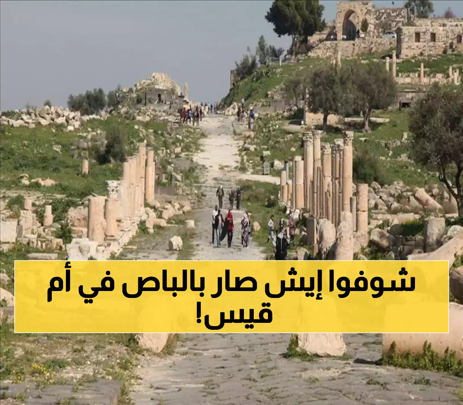 إعلان صادم: رحلة أم قيس تشعل الجدل بعد أحداث غير متوقعة داخل الحافلة!