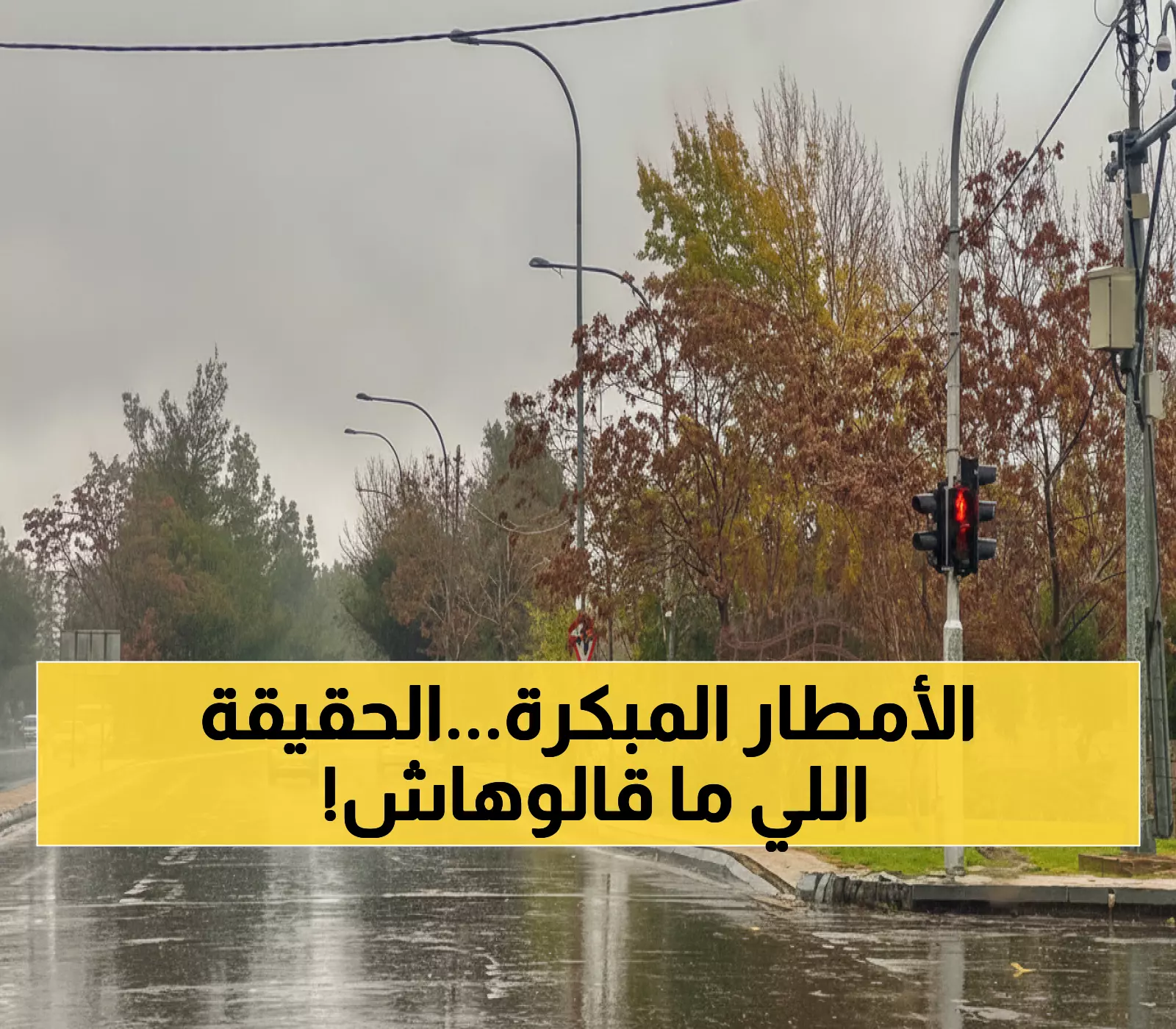 عاجل: خبراء طقس العرب يكشفون الحقيقة الصادمة حول الأمطار المبكرة... هل تتوقع موسماً مطرياً قوياً؟