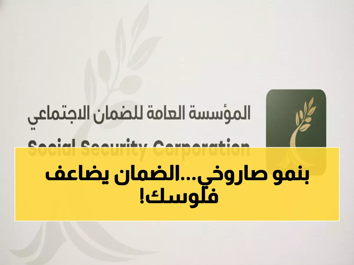 صادم: كيف ضاعف صندوق الضمان أرباحه بنسبة 133% في عام واحد؟ الأرقام ستذهلك!