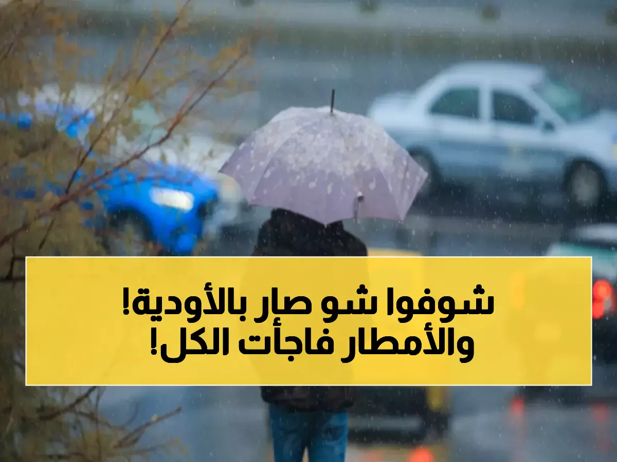 عاجل: الأرصاد الأردنية تكشف المفاجأة... الأمطار العشوائية ترفع الموسم المطري 6% وسيول مفاجئة تضرب الأودية!