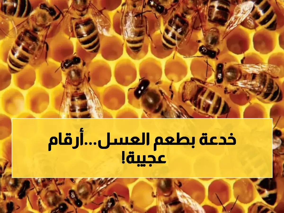 مفارقة صادمة: إنتاج العسل الأردني يرتفع 28% لكن جودته تنهار 39%... لماذا يخدعونا بالأرقام؟