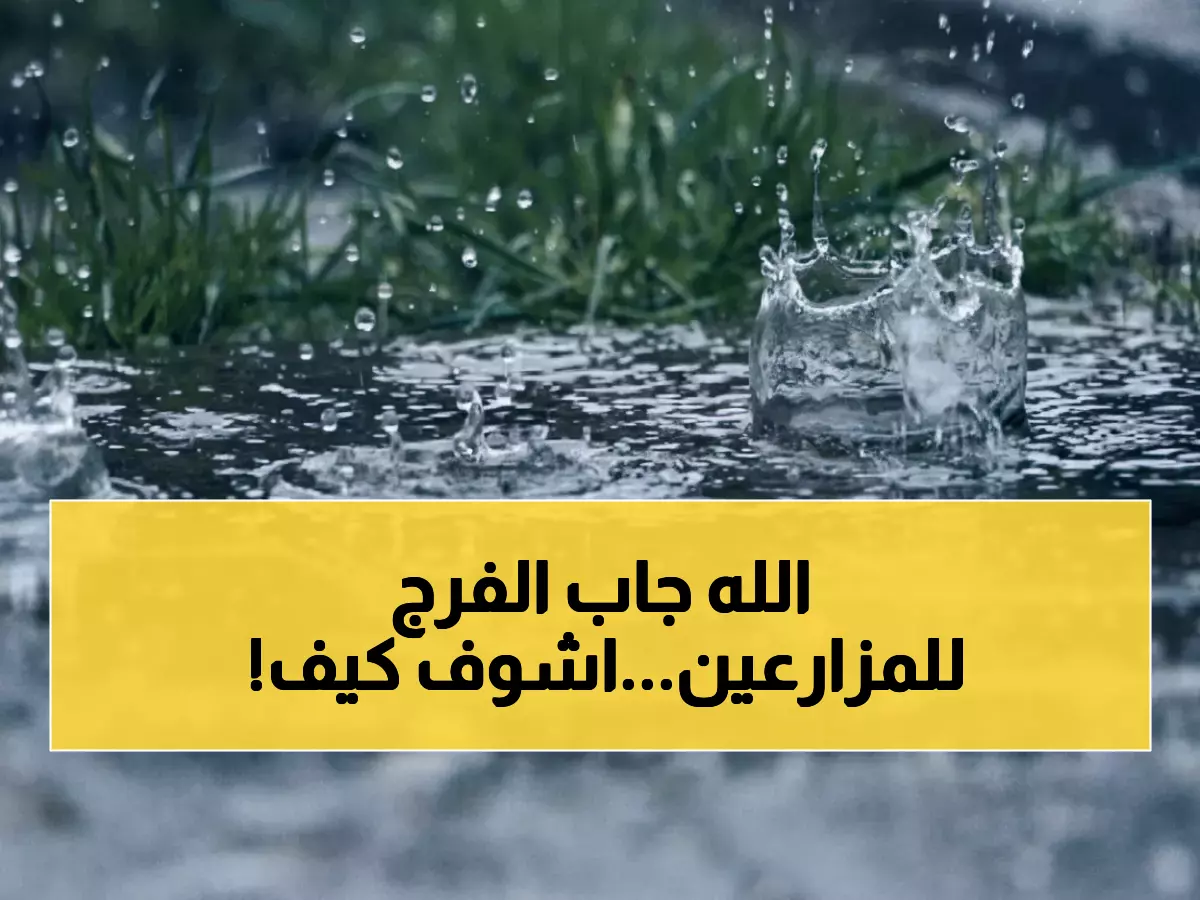 عاجل: الأمطار تنقذ الموسم المطري... تحسن مفاجئ بنسبة 6% والشمال يعود لمعدلاته!