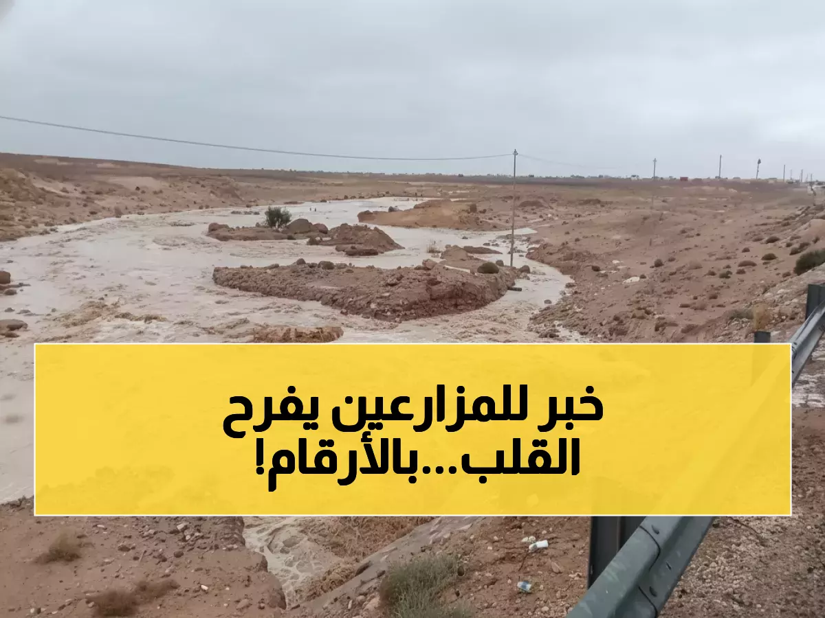 عاجل: معان تحطم التوقعات بـ66% من أمطارها الموسمية في أول عاصفة... هل ينقذ هذا المزارعين؟