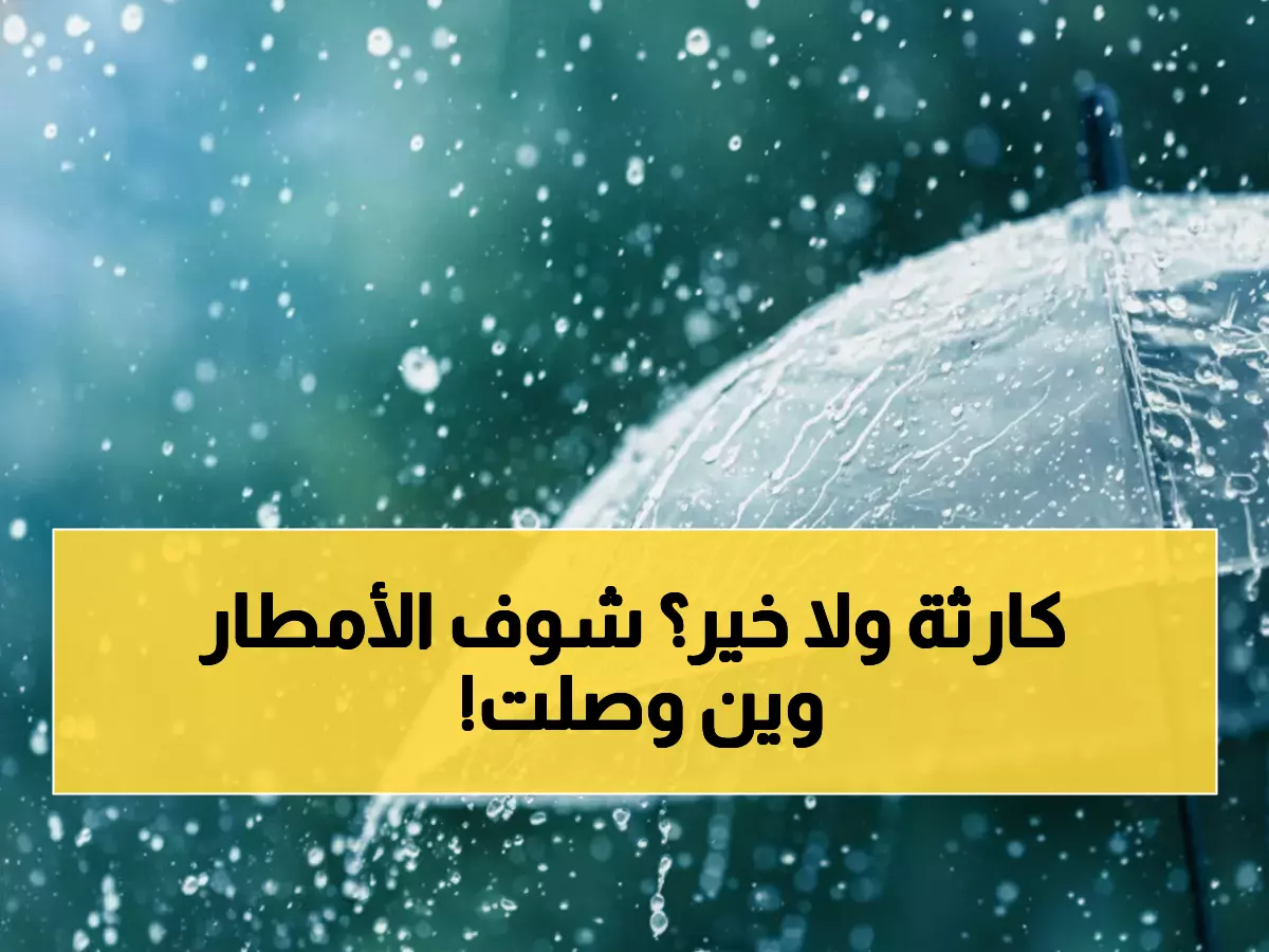 عاجل: أمطار الأردن تحقق طفرة مفاجئة... الكرك تسجل 45.5 ملم والعاصمة ترتفع 16%!