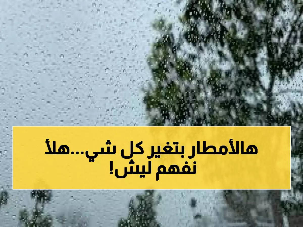 عاجل: خبير زراعي يكشف أرقام الأمطار المفاجئة في الأردن... هل ننتظر موسم زراعي استثنائي؟