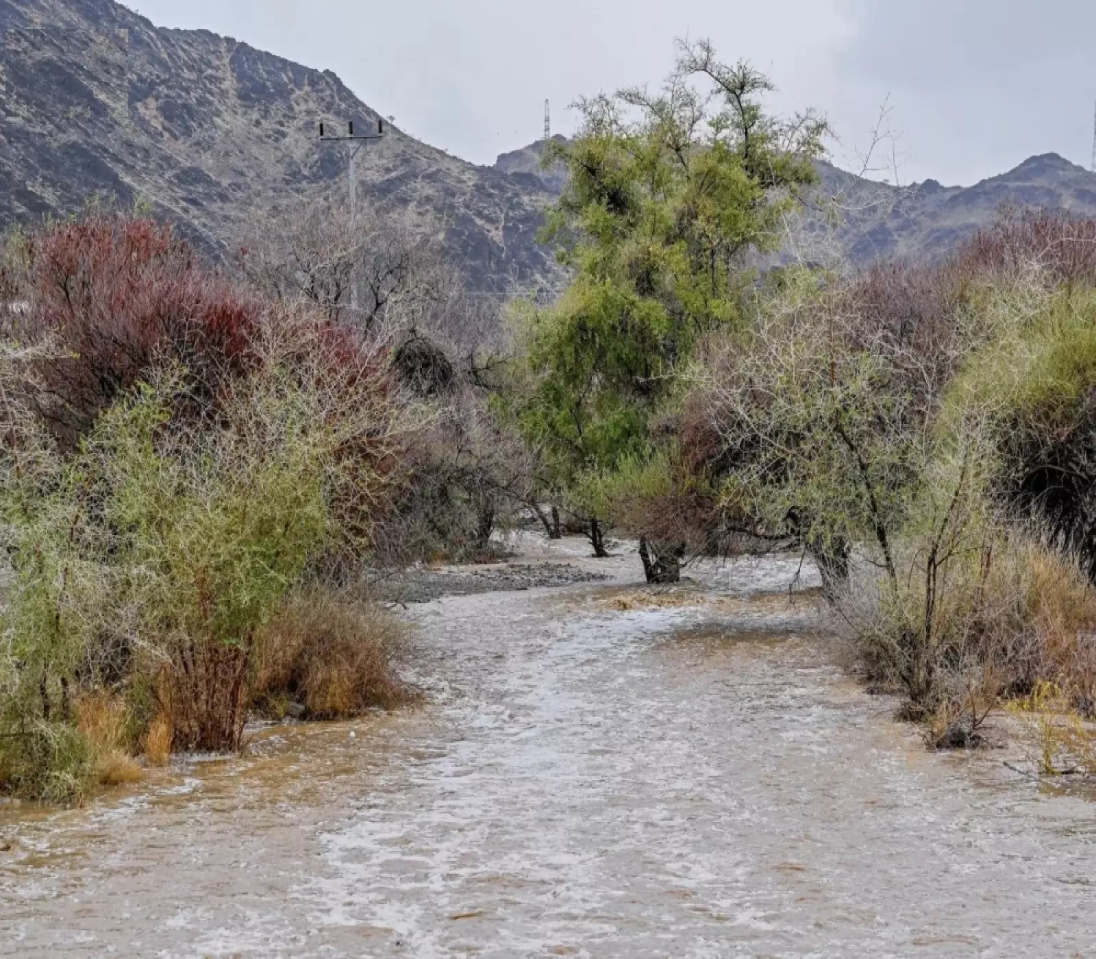 أمطار متوقع بالمناطق الجنوبية - واس (أرشيفية)