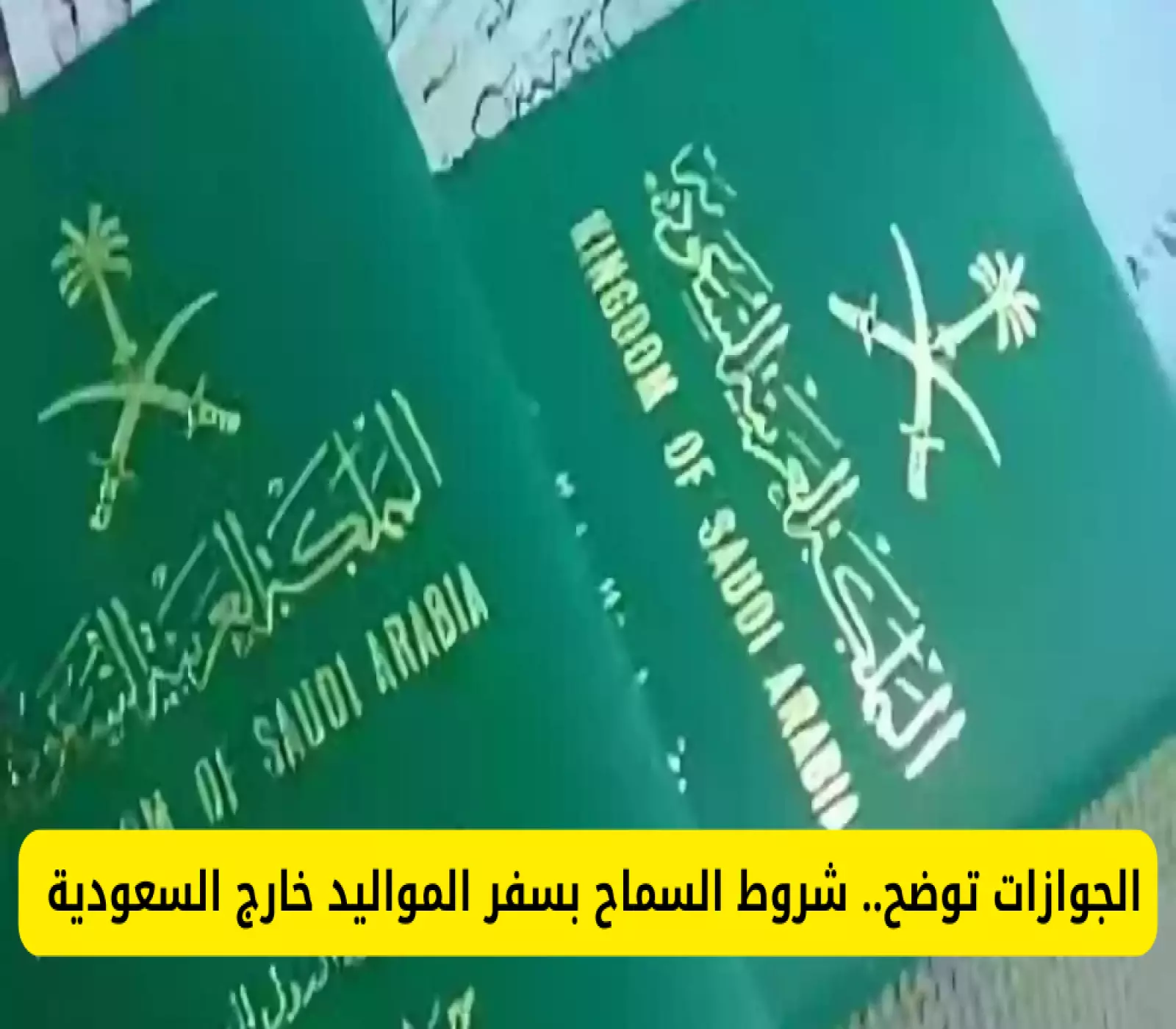 صورة لبيانات داخلية للجواز