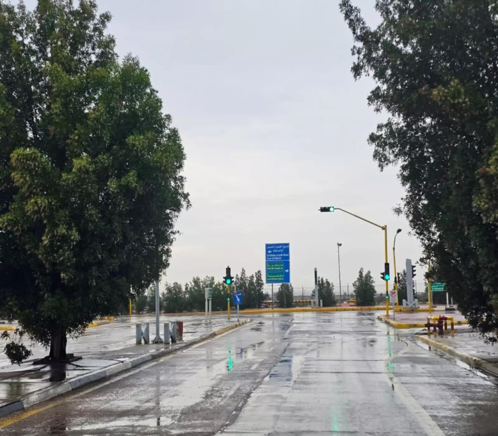 أمطار متباينة ورياح شديدة السرعة