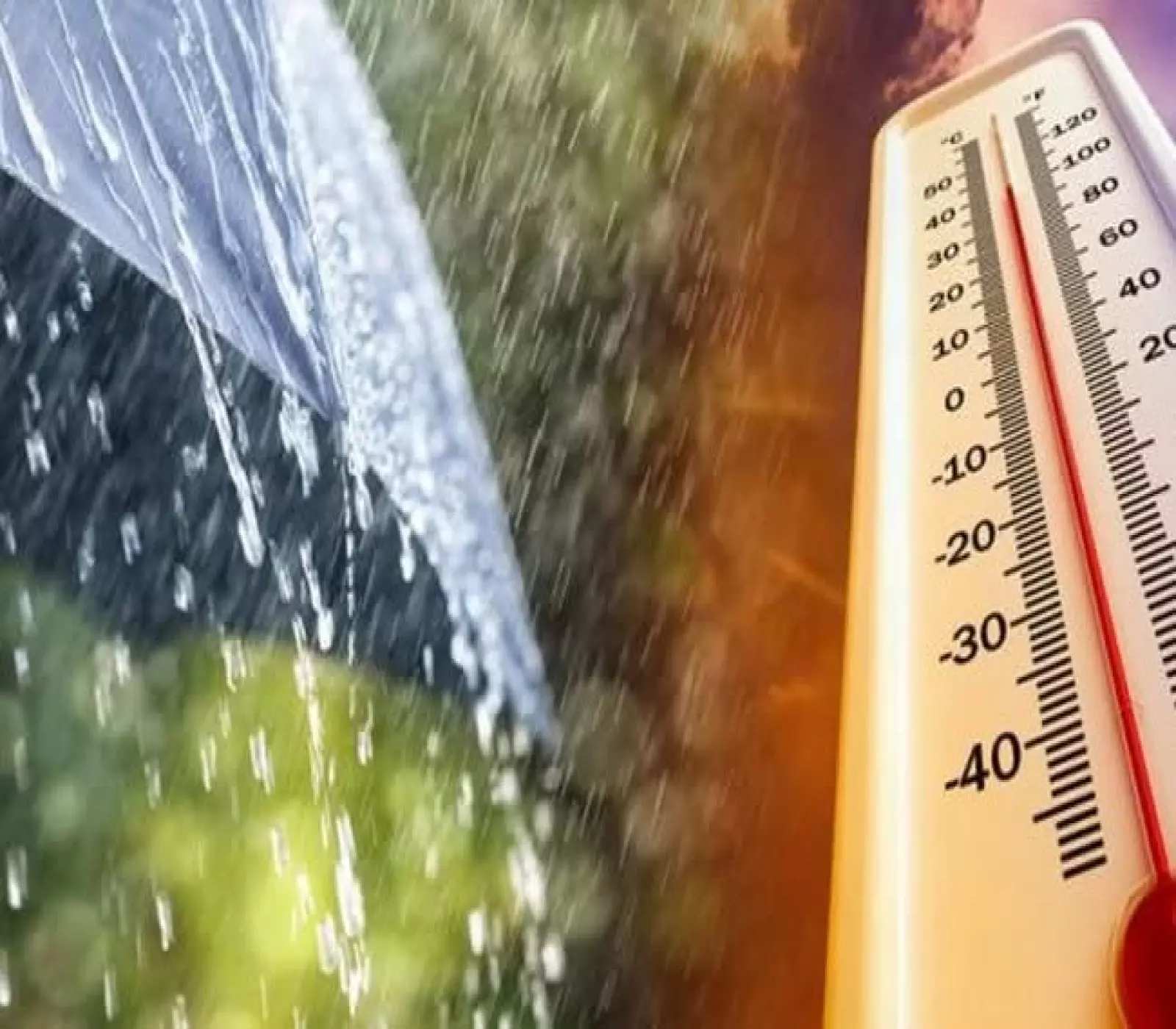 الأحوال الجوية المتناقضة في الجزائر