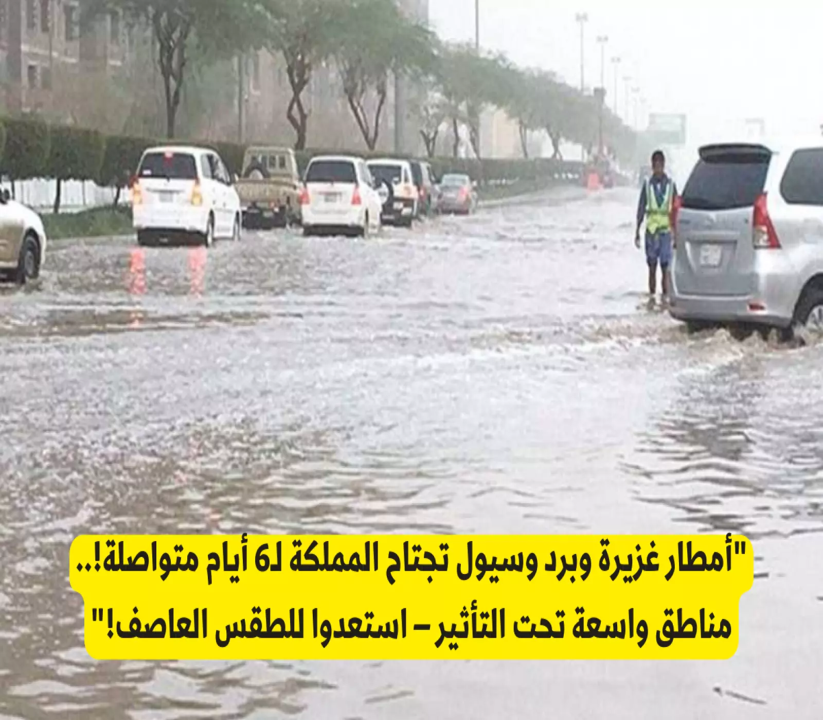 الأمطار في المنطقة العربية