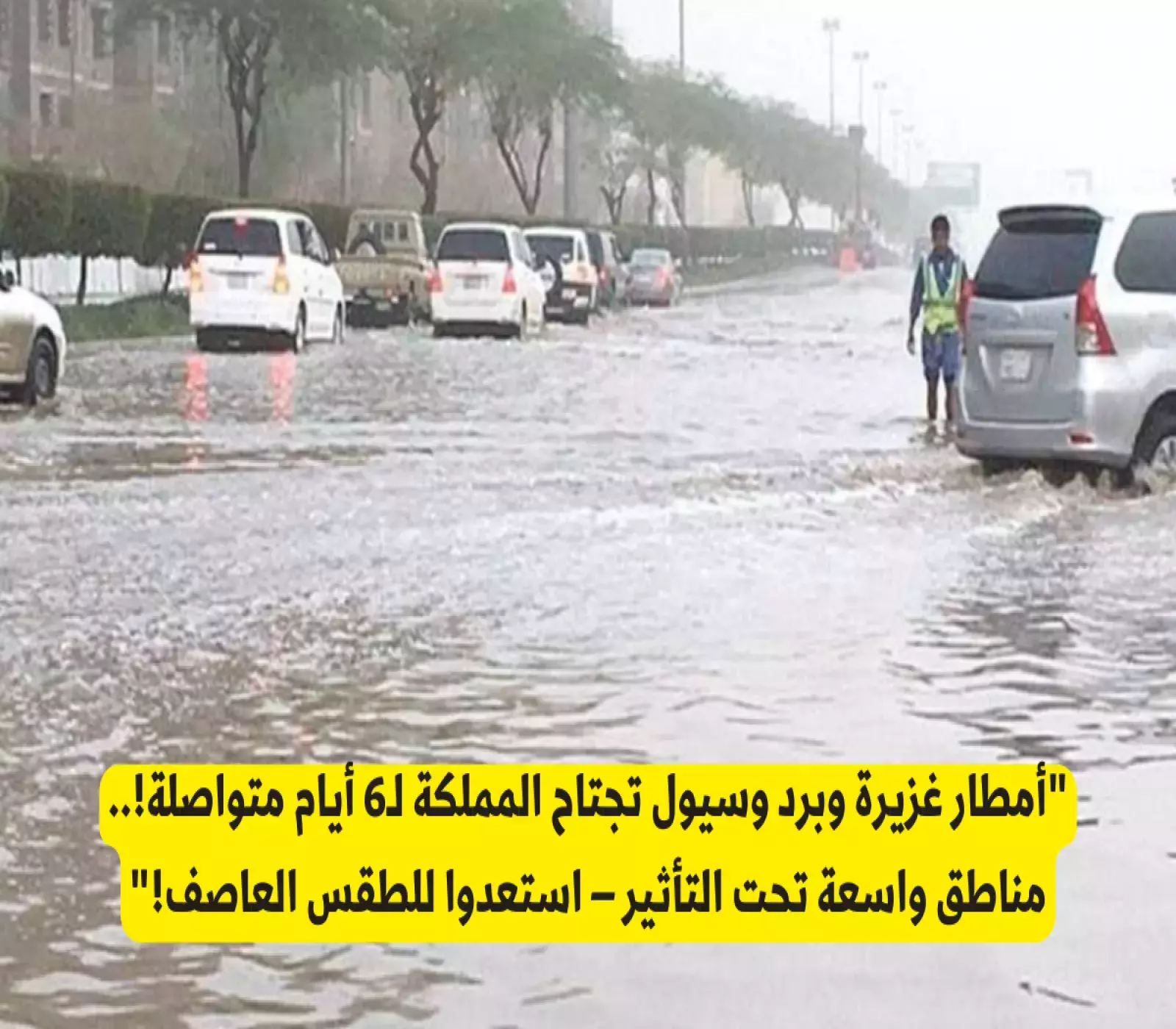 الأمطار في المنطقة العربية
