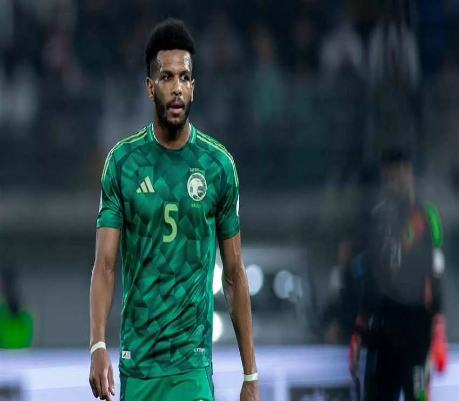 علي لاجامي