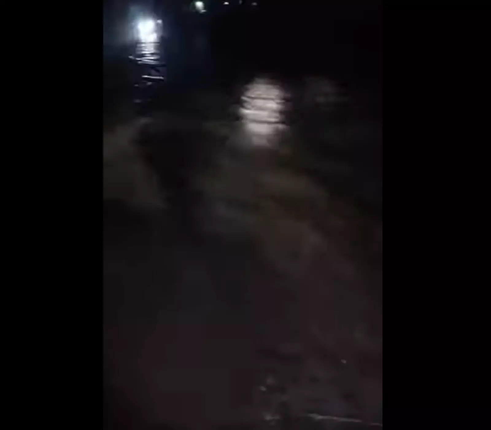 خبر
