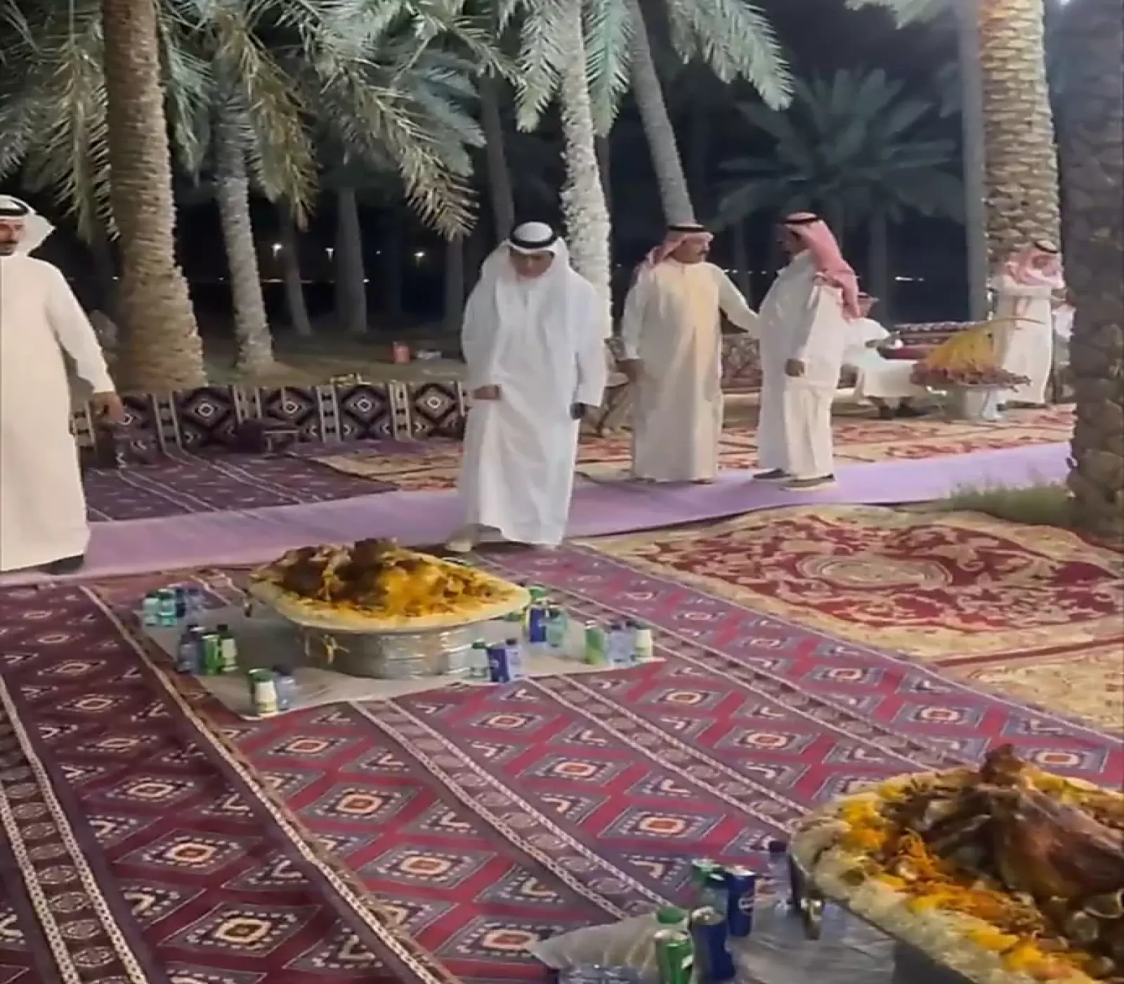 نمم