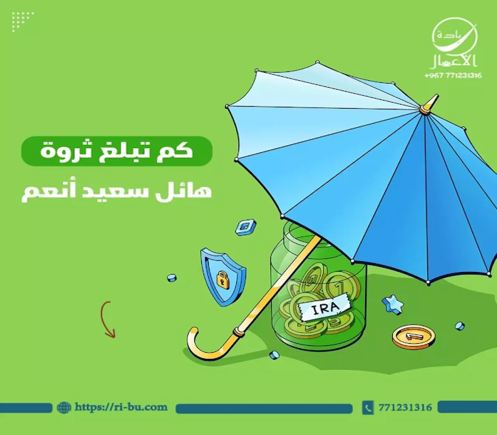 كم تبلغ ثروة هائل سعيد أنعم