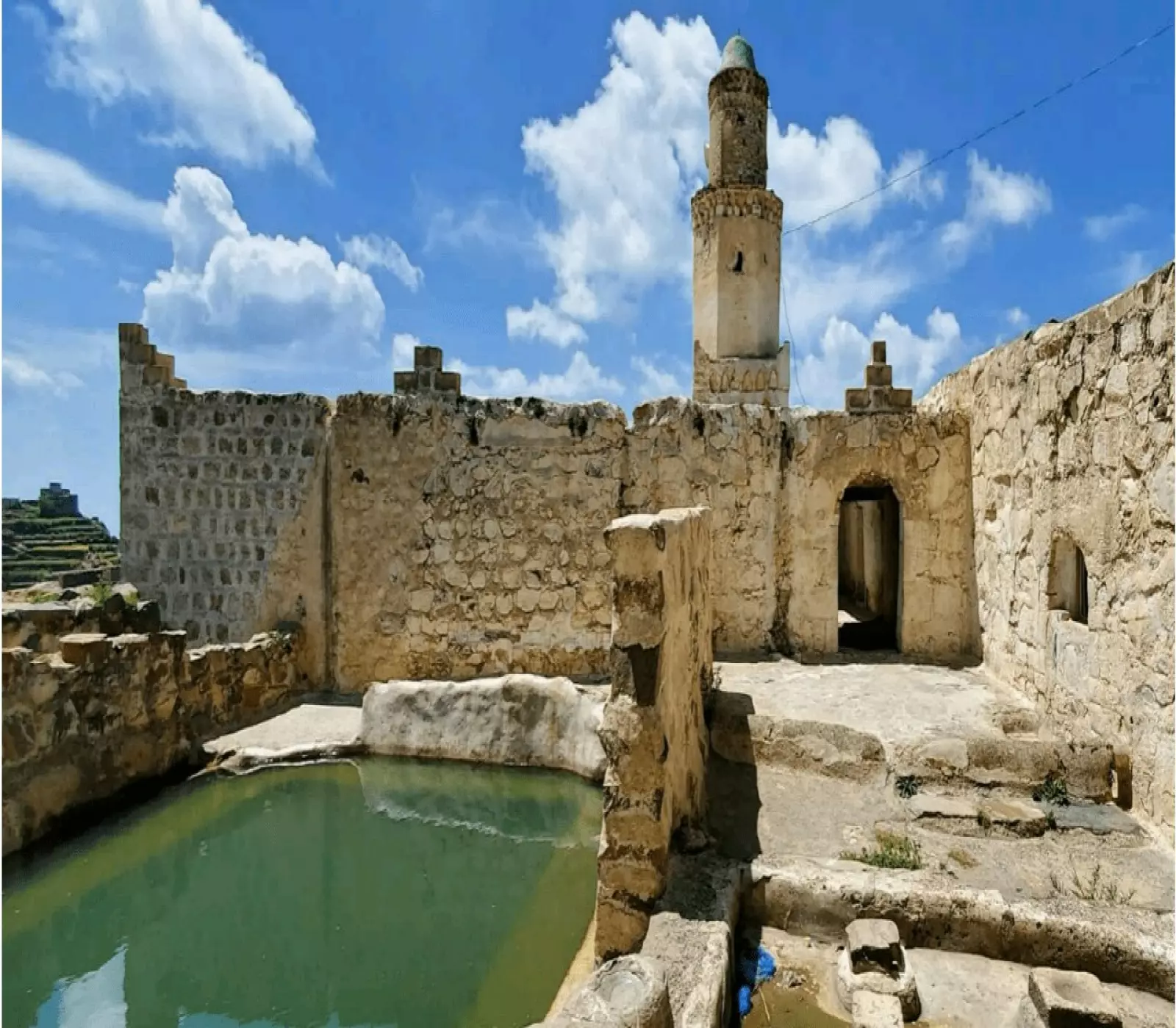 فيديو
