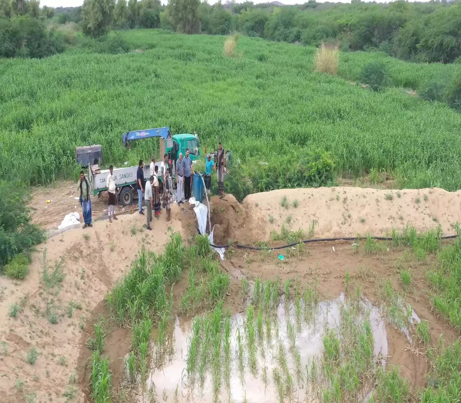 دعم طارق صالح لقطاع الكهرباء