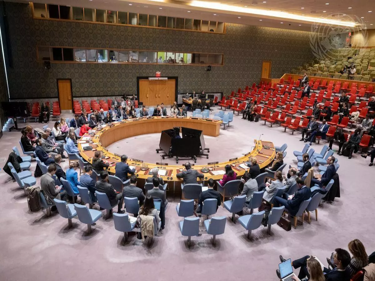 جانب من اجتماع لمجلس الأمن الدولي (الأمم المتحدة)