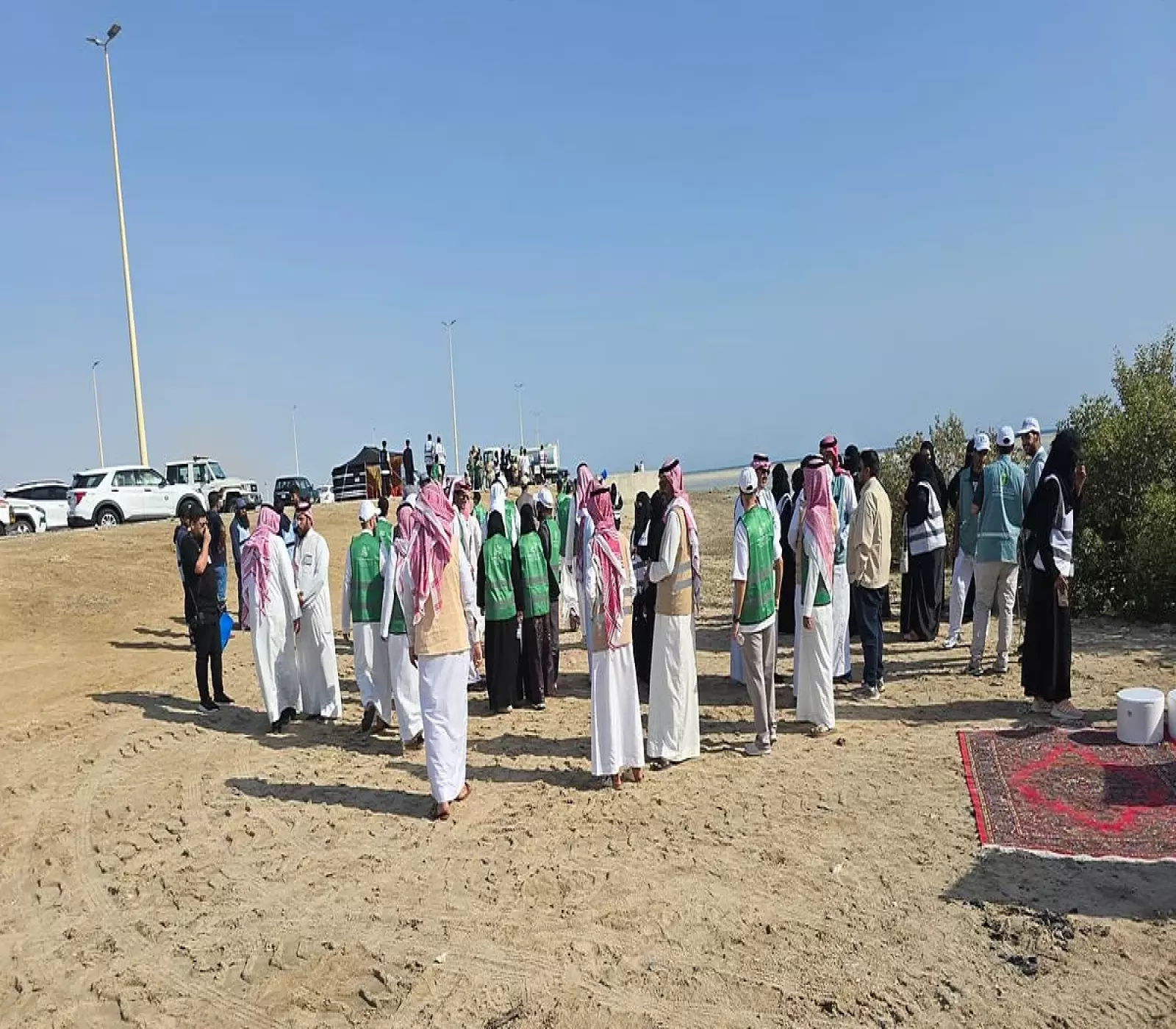 التفاصيل: "بيئة مكة" تنضم للاحتفال الدولي بصون النظام الإيكولوجي للمانجروف
