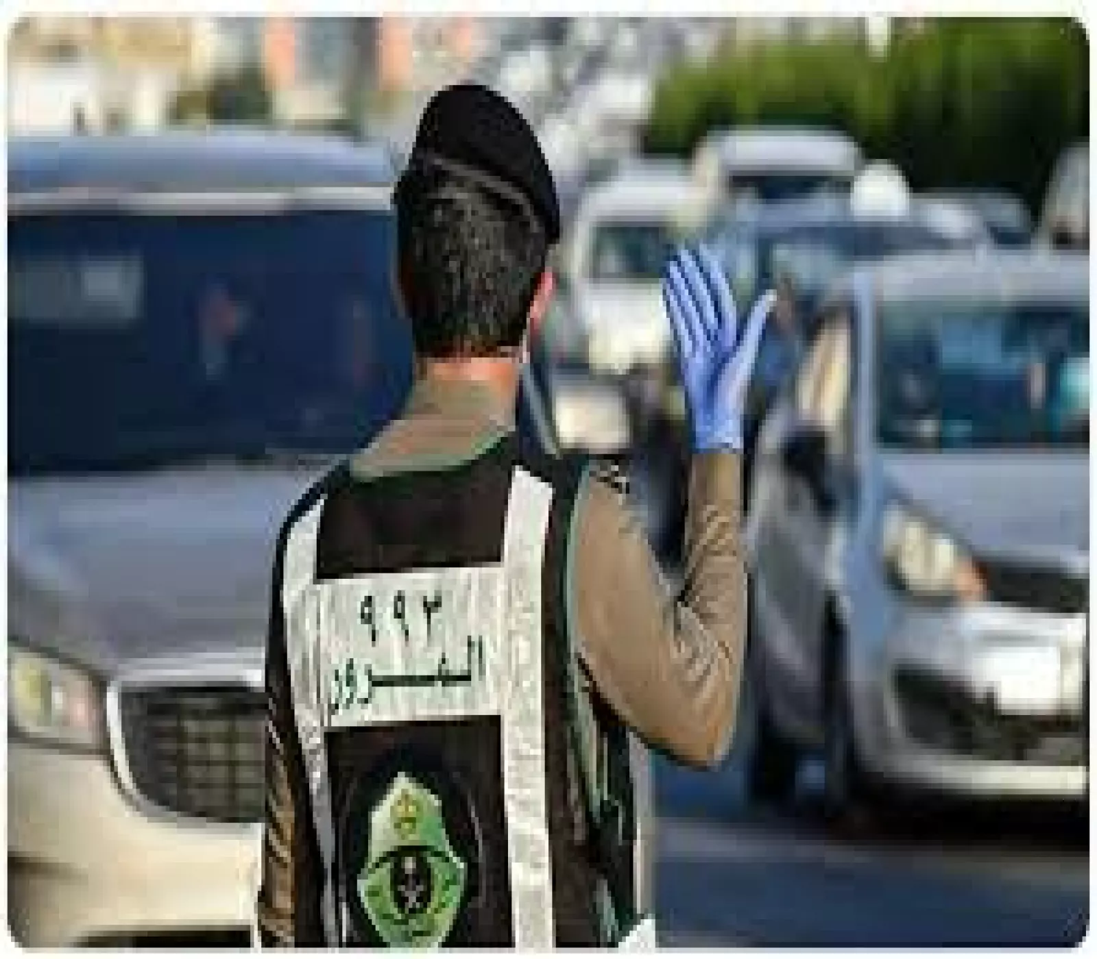 دليلك لتحويل التصريح المؤقت إلى رخصة دائمة.. خطوات بسيطة وسهلة
