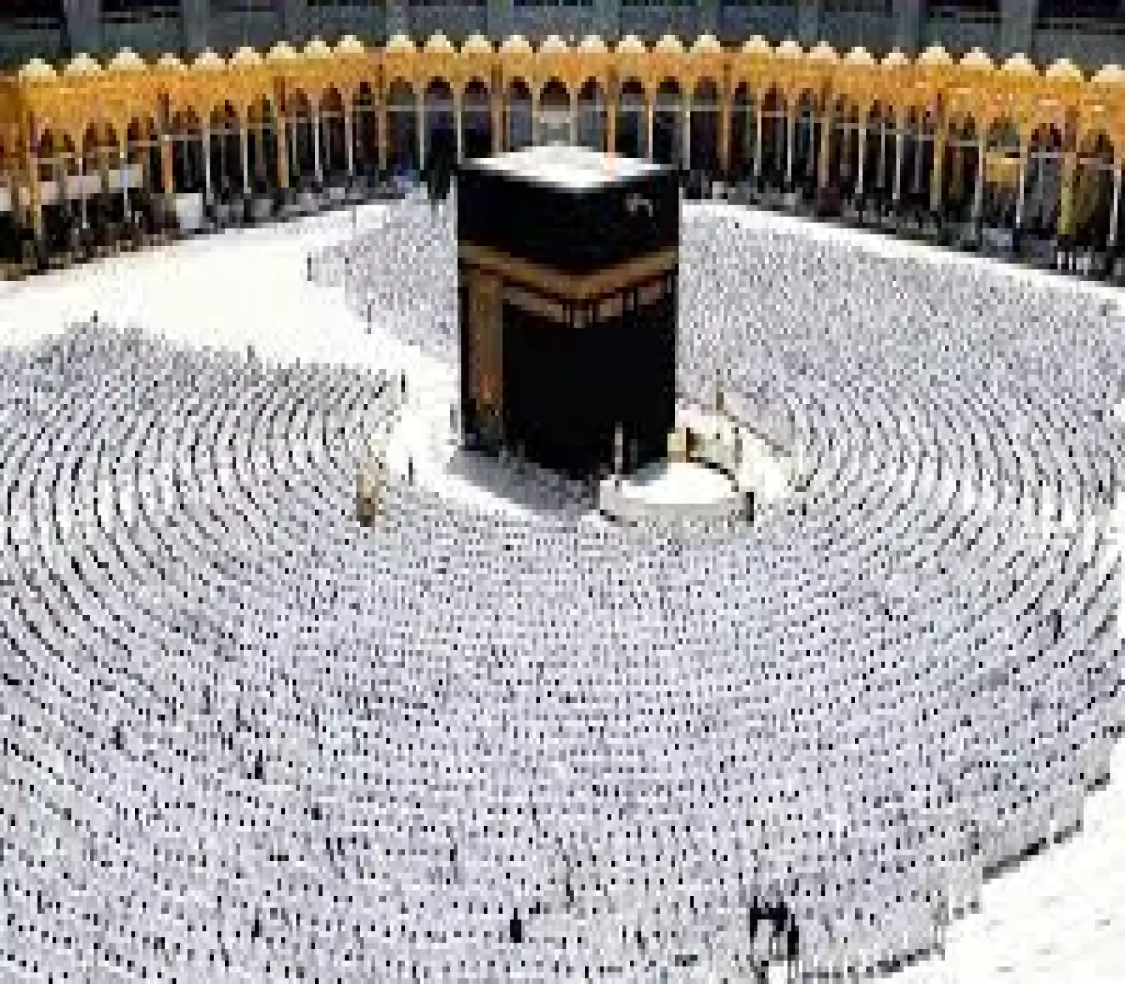 تحذير عاجل للحجاج.. هذه المواد الممنوعة قد تحرمك من أداء المناسك!