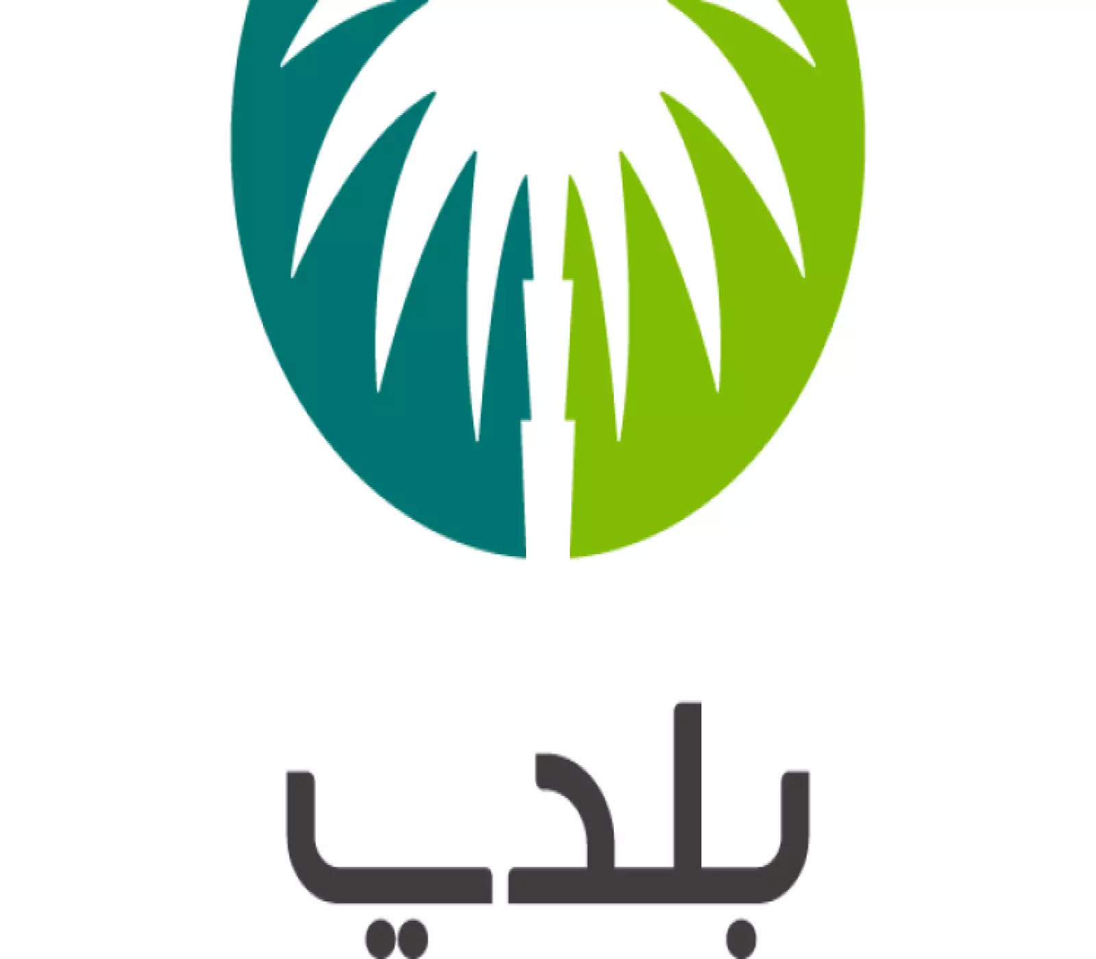 رخصة البناء جاهزة.. خطوات سريعة للاستعلام عن رخصة البناء برقم الطلب عبر منصة بلدي 1446 هـ
